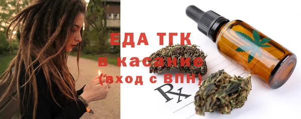 стаф Новозыбков