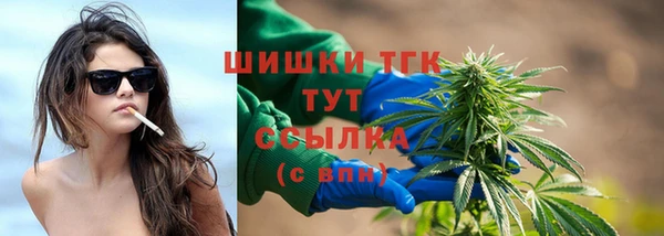 стафф Новодвинск