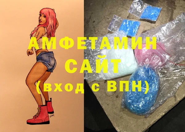 стаф Новозыбков