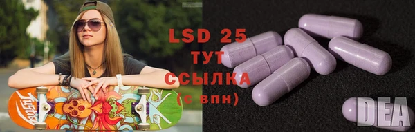 стафф Новодвинск