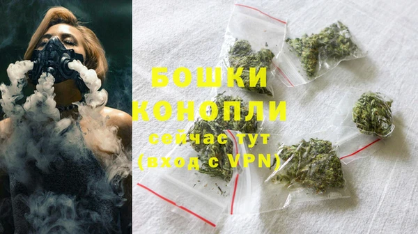 стафф Новодвинск