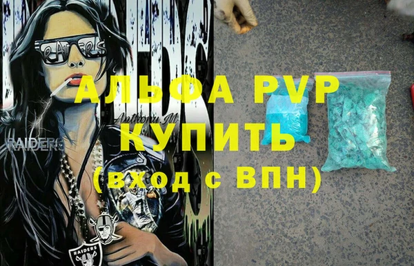 стафф Новодвинск