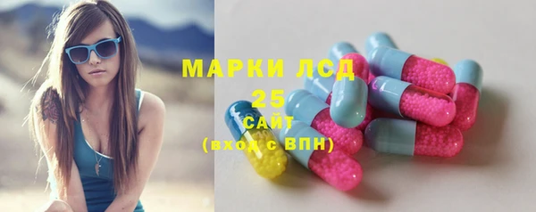 Альфа ПВП Няндома