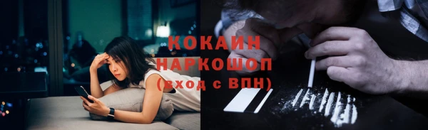 стафф Новодвинск