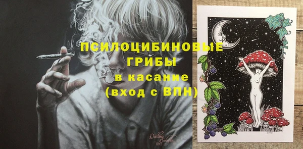 стаф Новозыбков