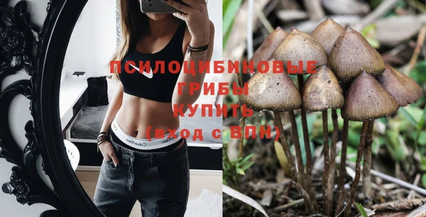 стафф Новодвинск