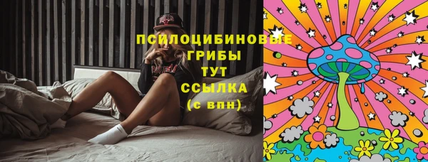Альфа ПВП Няндома