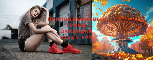 Альфа ПВП Няндома
