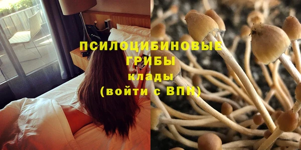 кристаллы Новокубанск