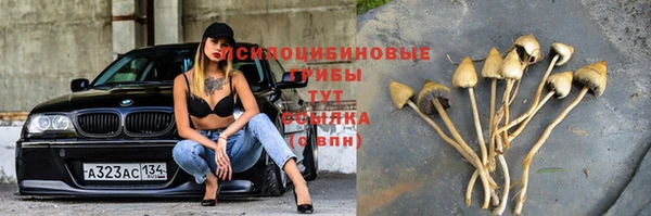 хмурый Нязепетровск