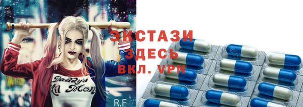 стаф Новозыбков