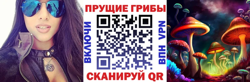 ОМГ ОМГ сайт  Советская Гавань  Псилоцибиновые грибы мицелий  продажа наркотиков 