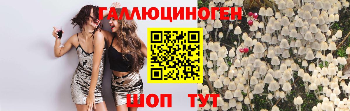Псилоцибиновые грибы Psilocybine cubensis  Псилоцибиновые грибы MAGIC MUSHROOMS  Вход с VPN  Советская Гавань 